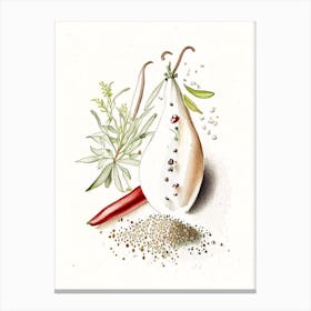 White Pepper Spices And Herbs Pencil Illustration 2 Canvas Print