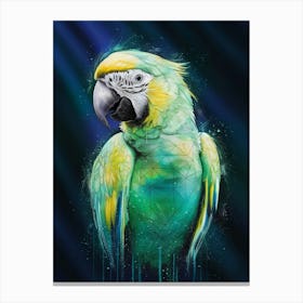 Parrot Canvas Print