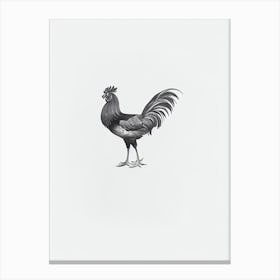 Rooster B&W Pencil Drawing 5 Bird Canvas Print