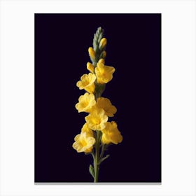 Yellow Flowers On A Black Background Canvas Print