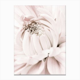 Pink Bloom_2066809 Canvas Print