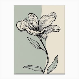 Lilies Line Art Flowers Illustration Neutral 18 Canvas Print