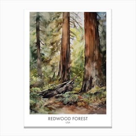 Redwood Forest 2 Watercolour Travel Poster Canvas Print