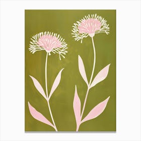 Pink & Green Asters 2 Canvas Print