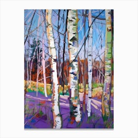 Birch Forest - Birch Trees Canvas Print