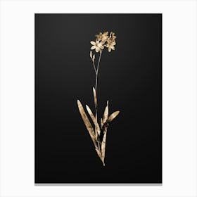 Gold Botanical Corn Lily on Wrought Iron Black n.2976 Canvas Print