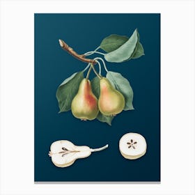 Vintage Pear Botanical Art on Teal Blue n.0450 Canvas Print