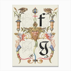 Guide For Constructing The Letters F And G From Mira Calligraphiae Monumenta, Joris Hoefnagel Canvas Print