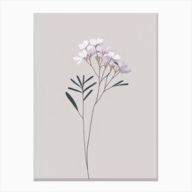 Creeping Phlox Wildflower Simplicity Canvas Print