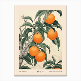 Tachibana Mandarin Orange 1 Vintage Japanese Botanical Poster Canvas Print