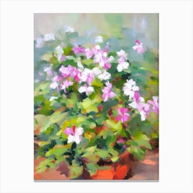 Cyclamen Impressionist Painting Plant Canvas Print