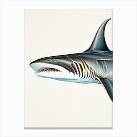 Narrowtooth 2 Shark Vintage Canvas Print
