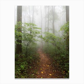 Misty Woods - Smoky Mountain National Park Canvas Print