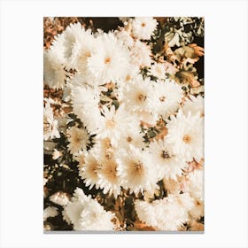 White Flower Bush Canvas Print