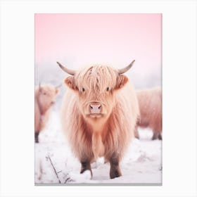 Highland Cow In The Snow Pink Filter Portrait 3 Canvas Print
