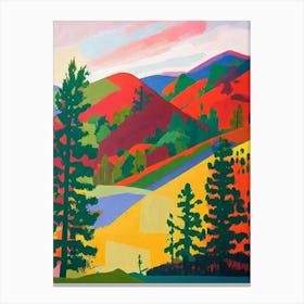 Sequoia National Park United States Of America Abstract Colourful Canvas Print