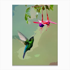 Humming Bird Canvas Print