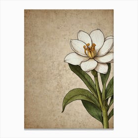 Lily Of The Valley 4 Canvas Print