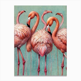 Flamingos 7 Canvas Print