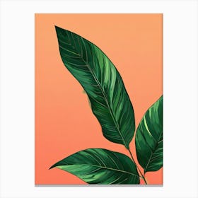 Green Leaf On Orange Background Canvas Print