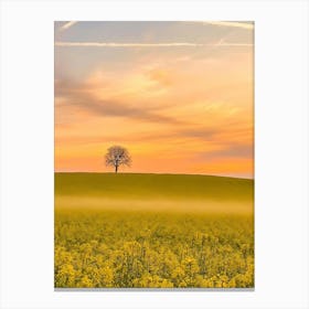 Sunrise Over A Yellow Field Canvas Print