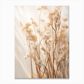 Boho Dried Flowers Forget Me Not 7 Canvas Print