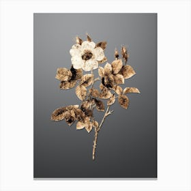 Gold Botanical Twin Flowered White Rose on Soft Gray n.0869 Canvas Print