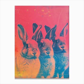 Bunnies Polaroid Inspired 4 Canvas Print