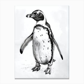 King Penguin Staring Curiously 3 Canvas Print