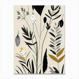 Black Cohosh Wildflower Modern Muted Colours Canvas Print