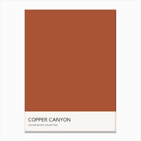 Copper Canyon Colour Block Poster Canvas Print
