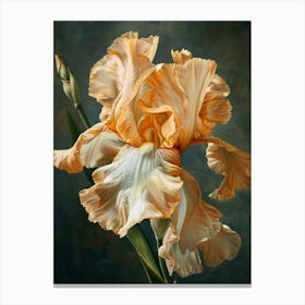 Iris Fl 73 Canvas Print