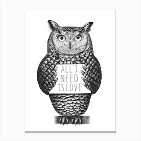 Owl With Love Canvas Print