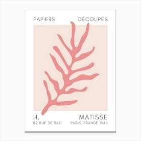 H Matisse 31 Canvas Print