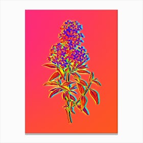 Neon Persian Lilac Botanical in Hot Pink and Electric Blue n.0601 Canvas Print