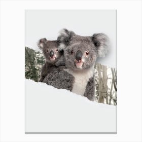 Koalas Torn Paper Canvas Print