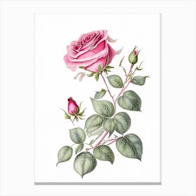 Rose Floral Quentin Blake Inspired Illustration 1 Flower Canvas Print