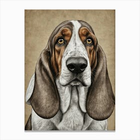 Basset Hound 1 Canvas Print