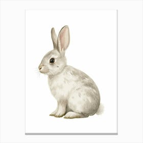 Blanc De Hotot Rabbit Nursery Illustration 2 Canvas Print