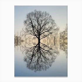 Reflection of a tree at sunset Canvas Print