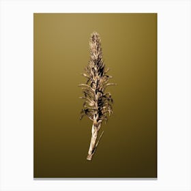 Gold Botanical Pitcairnia Latifolia on Dune Yellow n.4532 Canvas Print