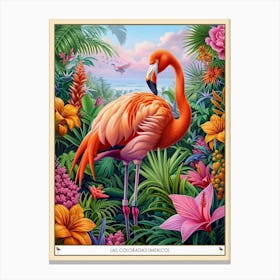 Greater Flamingo Las Coloradas Mexico Tropical Illustration 8 Poster Canvas Print