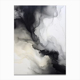 White And Black Flow Asbtract Painting 3 Canvas Print