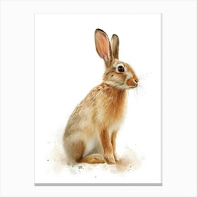 Rhinelander Rabbit Nursery Illustration 3 Canvas Print
