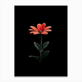 Single Flower On Black Background Canvas Print