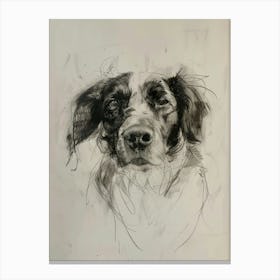 Nederlandse Kooikerhondje Dog Charcoal Line 1 Canvas Print