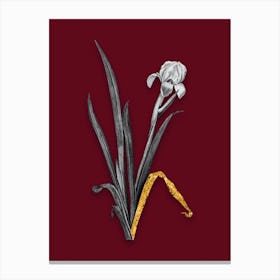 Vintage Crimean Iris Black and White Gold Leaf Floral Art on Burgundy Red n.0101 Canvas Print
