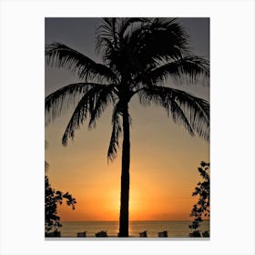 Sunset Behind A Palm Tree At Fort Lauderdale Beach Canvas Print