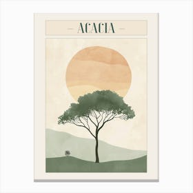Acacia Tree Minimal Japandi Illustration 3 Poster Canvas Print