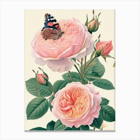 English Roses Painting Rose With Butterfly 1 Canvas Print